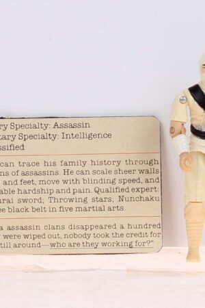 Storm Shadow Swivel Arm Loose C-8+ File Card